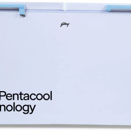 525 L Double Door Standard Deep Freezer-image-13