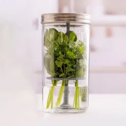 kilner Herb Keeper-picture-10