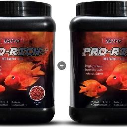 Pro Rich Red Parrot 80g (Pack of 2) 0.16 kg Dry Young, Adult, Senior Fish Food-15