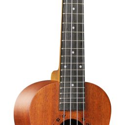 Tenor Ukulele-11