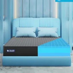 the sleep company Ortho Pro SmartGrid 6 inch HR Foam Queen Size Mattress with Grid Layer-picture-39