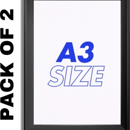 A3 Pack Of 2 Framed 18 inch Plastic Fiber-35