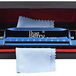 R-1003 Key of C 10 Holes 20 Tones Blues Harp Diatonic Mouth Organ Harmonica-32