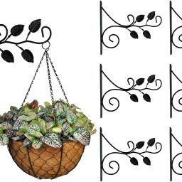 High Quality Leaf design Wall Mounted Shelf Bracket (Set of 6 Pcs) 32.5 Cm Shelf Bracket-15