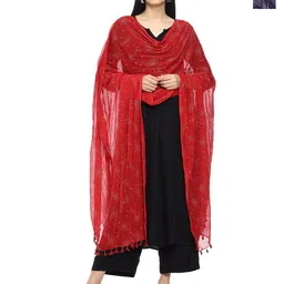 Tulip Eden Pack Of 2 Ethnic Foil Printed Dupatta-image-67