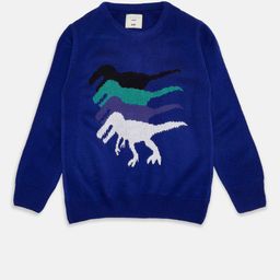 Pantaloons Junior Boys Blue & White Printed Pullover-image-70