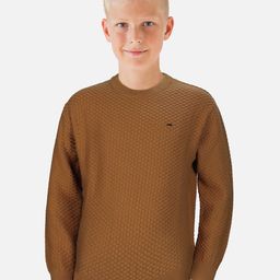 Gini and Jony Boys Round Neck Cotton Pullover-image-64