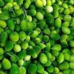 kantola seeds hybrid pack of 5 Seed-image-35