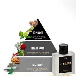 CFS Cargo EDP 100ml & Begin Long Lasting Perfume - 25 ml image 3
