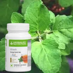 Nutrition Herbalifee Nutrition Afresh-Energy Solution tulsi afresh Energy Drink-image-65
