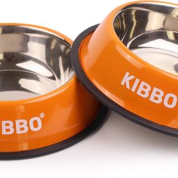 Anti Skid Pet Bowl for Dogs and Cats (Set Of 2) Stainless Steel Pet Bowl-image-27