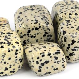 100% Natural Crystal New-43-Dalmatian Jasper-Tumble-stone-100gm Regular Asymmetrical Crystal Stone-image-69