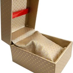 Fancy watch case Watch Box-image-14