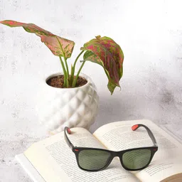 HAUTE SAUCE by  Campus Sutra Women UV Protected Lens Wayfarer Sunglasses SUM23_HSSG1076-image-5