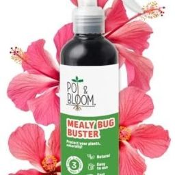 Mealy Bug Buster Spray Germs Killer for Plants No Harmful Chemicals 0.5 L Hand Held Sprayer-picture-15