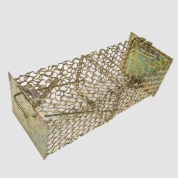 Rat/Mouse/Rodent Trap Cage Rustic Copper (1, Medium/20.5 X 8 X 8 cm) Live Trap-image-5