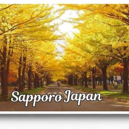 Japan Sapporo Acrylic Fridge Magnet | 2x3 Inch | 4mm Thick Glossy Finish Print Fridge Magnet Pack of 1-image-40