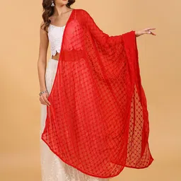 Dupatta Bazaar Floral Embroidered Dupatta-56