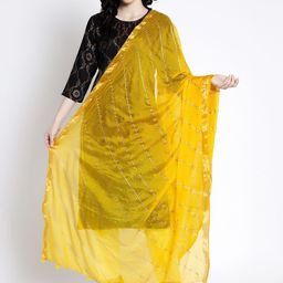 Clora Creation Striped Dupatta With Tasseles-picture-46