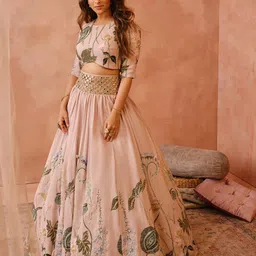 Payal Singhal Embellished Ready to Wear Lehenga & Blouse With Dupatta-picture-17