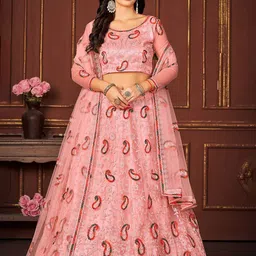 Warthy Ent Paisley Embroidered Net Semi-Stitched Lehenga & Unstitched Choli With Dupatta-picture-53