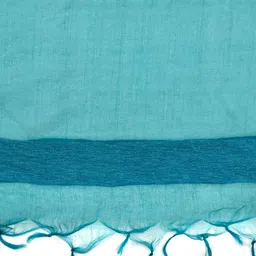 Dupatta Bazaar Organza Dupatta With Tasselled Border image 2
