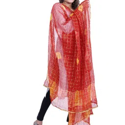 Alakh Creation Checked Zari Detailed Bandhani Chiffon Dupatta image 3