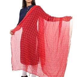 Alakh Creation Checked Zari Detailed Chiffon Dupatta image 3
