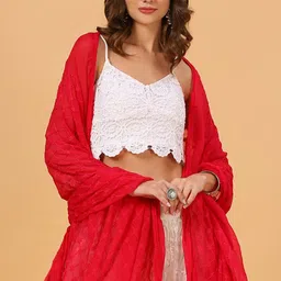 Dupatta Bazaar Embroidered Chiffon Dupatta image 3