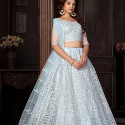 Warthy Ent Embroidered Net Semi-Stitched Lehenga & Unstitched Blouse With Dupatta image 5