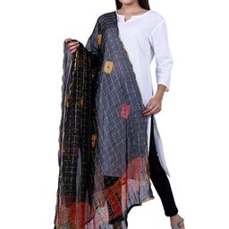 Alakh Creation Checked Zari Detailed Bandhani Chiffon Dupatta image 4
