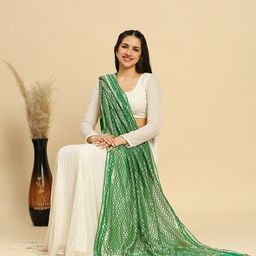 Dupatta Bazaar Geometric Woven Design Zari Dupatta image 3