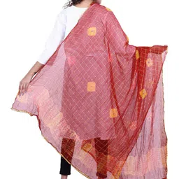 Alakh Creation Checked Zari Detailed Bandhani Chiffon Dupatta image 5