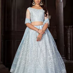 Warthy Ent Embroidered Net Semi-Stitched Lehenga & Unstitched Blouse With Dupatta image 2