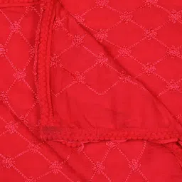 Dupatta Bazaar Embroidered Chiffon Dupatta image 2
