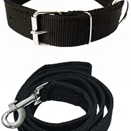 Dog & Cat Collar & Leash-16