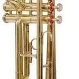 Standard TRUM-251 Gold Bb Trumpet for Beginner or Advanced - Musical instrument Golden Bb Trumpet-image-54