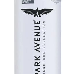 New Voyage Deodorant Spray - For Men-image-81