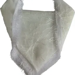 Net Embroidered White Women Dupatta-image-93