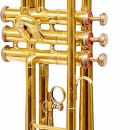 shrimaa sons Trumpet brass gold and WITH HARDCASE Bb Trumpet-image-12