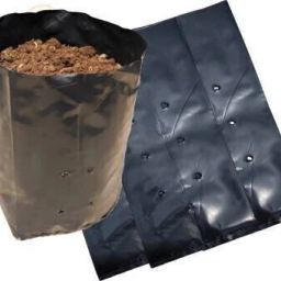 Gardening, Nursery Poly Bag, 10x12 Inch, Pack Of 50 Grow Bag Grow Bag-image-34