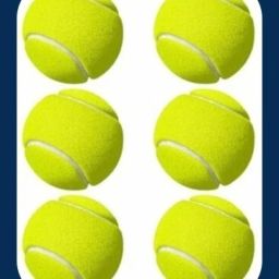 New-Tennis _6Pack of 6 Tennis Ball-picture-22
