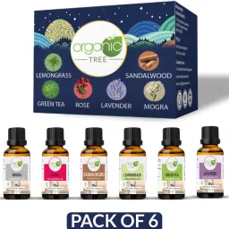 Rose, Mogra, Lemongrass, Lavender, Sandalwood, Green Tea Aroma Oil, Diffuser, Diffuser Set, Refill, Spray, Automatic Spray-image-22
