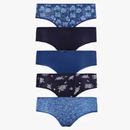 Pack of 5 Assorted Women High Waist Flat Elastic Stretch Cotton Hipster-picture-37