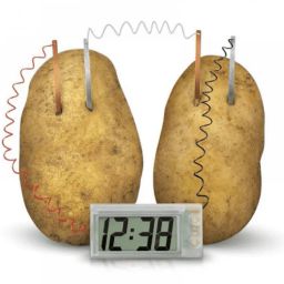 DIY Conversion of Energy Science Experiment by LED Alarm Clock using Potato image 1