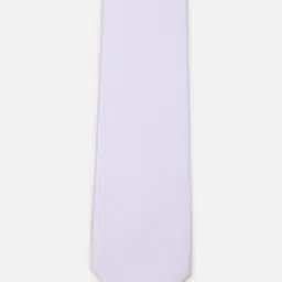 Peter England Men Striped Broad Tie-picture-31