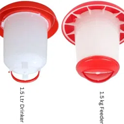 Common Bird Feeder-4