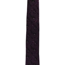Alvaro Castagnino Men Purple & Black Woven Design Broad Tie-image-63