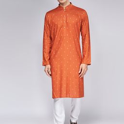 BELLAZO Mandarin Collar Thread Work Cotton Kurta-image-3