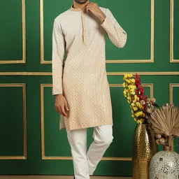 Jompers Floral Embroidered Mandarin Collar Straight Kurta-picture-27
